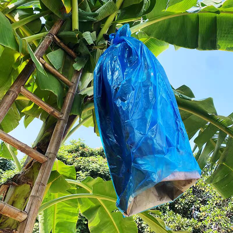 Θερμοκολλητική πλαστική τσάντα μπλε PE για καλύμματα τσαμπιού μπανάνας 20-200μικρά